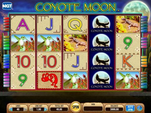 Coyote Moon