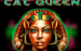 Logo cat queen playtech jeu casino 