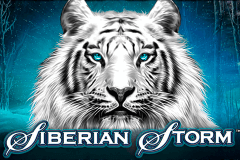 Logo siberian storm igt jeu casino 