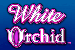 Logo white orchid igt jeu casino 