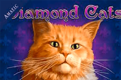 Logo diamond cats amatic 