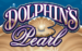 Logo dolphins pearl novomatic 